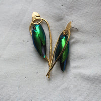 Arched Seasons - Enclosed Beetle Wing Earrings