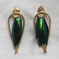 Arched Seasons - Enclosed Beetle Wing Earrings