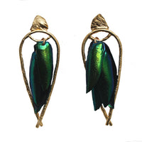 Arched Seasons - Enclosed Beetle Wing Earrings