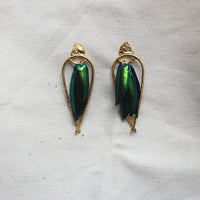 Arched Seasons - Enclosed Beetle Wing Earrings