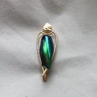 Moved Limits - Beetle Wing Pin/Brooch