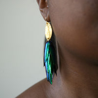 The Body That Remains - Beetle Wing Earrings