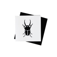Black Stag Beetle 3x3 Mini Card Set of 12