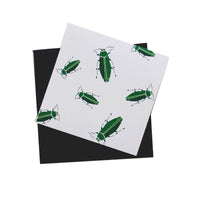 Multi Jewel Beetle 3x3 Mini Card Set of 12