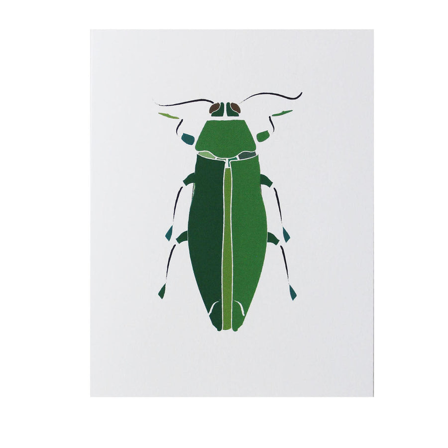 Japanese Jewel Beetle Card